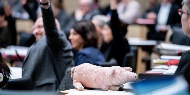 Die Vertreter der Bundesländer stimmen hinter einem Schweine-Stofftier während der Sitzung des Bundesrats für das "Gute-Kita-Gesetz" Die Vertreter der Bundesländer stimmen hinter einem Schweine-Stofftier während der Sitzung des Bundesrats für das "Gute-Kita-Gesetz"