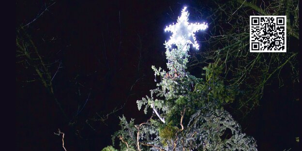 Ein Weihnachtsbaum bei Nacht mit leuchtendem Stern. Ein Weihnachtsbaum bei Nacht mit leuchtendem Stern.