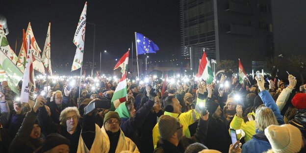 Demonstranten mit Fahnen Demonstranten mit Fahnen