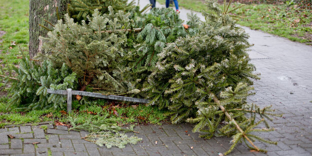 ein Weihnachtsbaum auf dem Boden ein Weihnachtsbaum auf dem Boden