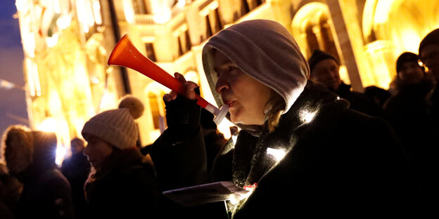 Demonstranten, eine mit einer Tröte Demonstranten, eine mit einer Tröte