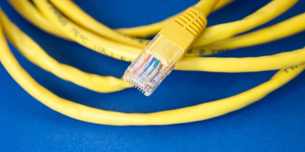 Ein Lan-Kabel Ein Lan-Kabel