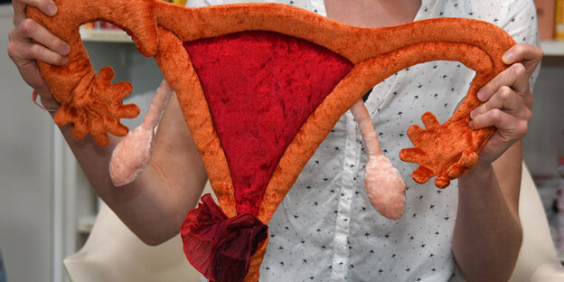 Das Modell einer Gebärmutter aus Plüsch Das Modell einer Gebärmutter aus Plüsch