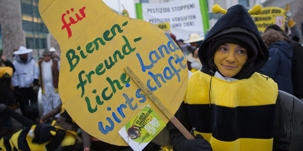 Eine Aktivistin im Bienenkostüm