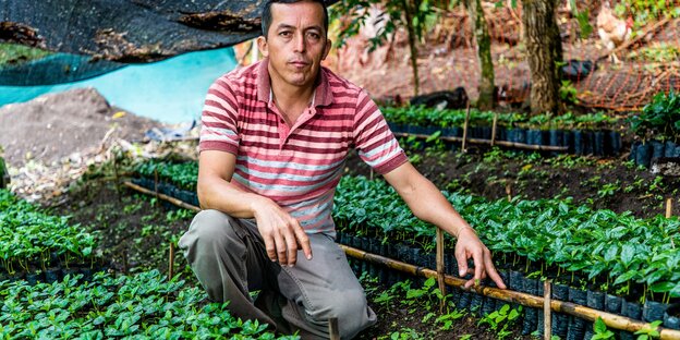 Kaffeebauer Magno Paredes sitzt inmitten seiner Pflanzen