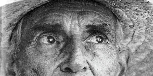 Armin T. Wegner im Jahr 1964. Armin T. Wegner im Jahr 1964.