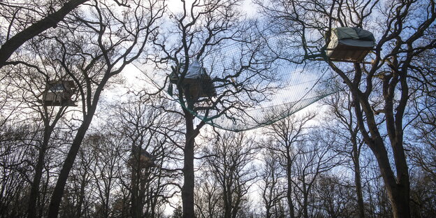 Drei Baumhäuser im Wald Hambacher Forst Drei Baumhäuser im Wald Hambacher Forst