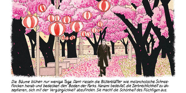 Comic: Ein Mann läuft allein auf einem von Kirschblüten übersäten Weg entlang. Hanami ist der japanische Ausdruck für die Kirschblütenzeit Comic: Ein Mann läuft allein auf einem von Kirschblüten übersäten Weg entlang. Hanami ist der japanische Ausdruck für die Kirschblütenzeit