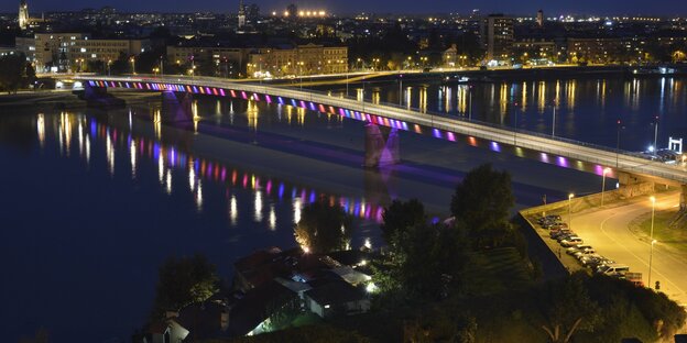 Die Freiheitsbrücke über die Donau. Die Freiheitsbrücke über die Donau.