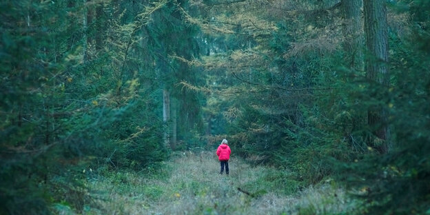 Ein Kind steht in einem Wald Ein Kind steht in einem Wald