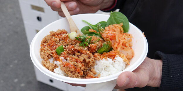 ein Pappteller mit Sojafleisch, Kimchi, Daikon, Spinat und Reis ein Pappteller mit Sojafleisch, Kimchi, Daikon, Spinat und Reis