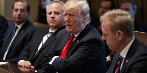 Donald Trump spricht während eines Treffens im Weißen Haus Donald Trump spricht während eines Treffens im Weißen Haus