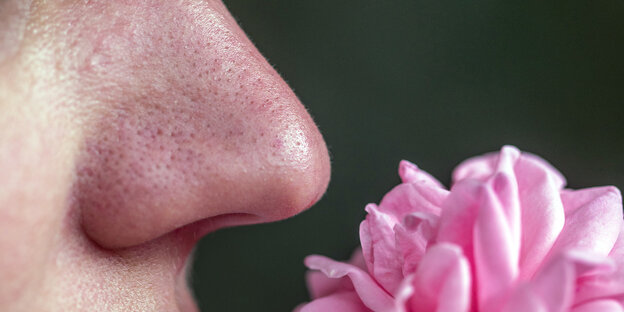 Eine Nase, eine Blume Eine Nase, eine Blume