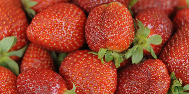 rote Erdbeeren rote Erdbeeren