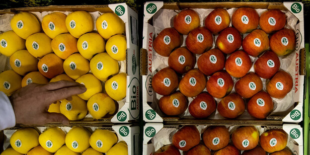 Bio-Äpfel im Supermarkt Bio-Äpfel im Supermarkt