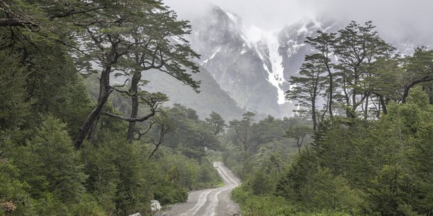 Schotterpiste durch eine grüne Landschaft, im Hindergrund hohe, teilweise mit Schnee bedeckte Berge zu sehen