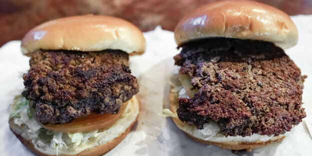 Zwei vegetarische Burger Zwei vegetarische Burger