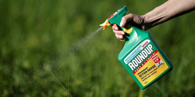 Eine Hand spritzt Monsantos Roundup auf eine Pflanze Eine Hand spritzt Monsantos Roundup auf eine Pflanze