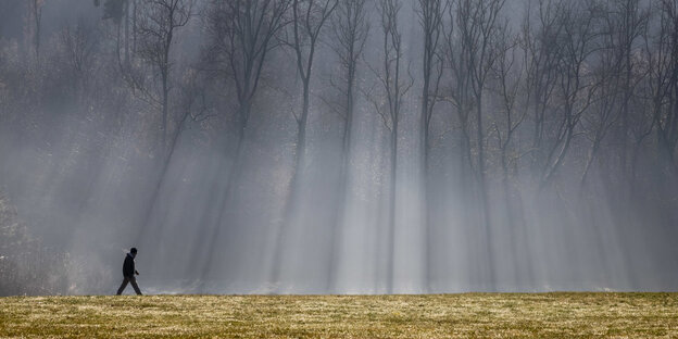 Ein Mann geht im nebligen Wald spazieren Ein Mann geht im nebligen Wald spazieren