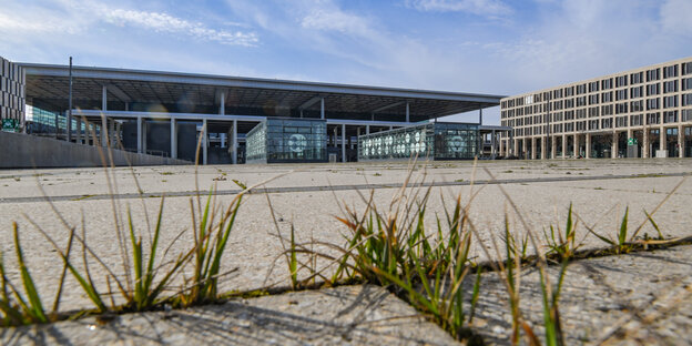 Rasen wächst zwischen Betonplatten am geplanten Großflughafen BER Rasen wächst zwischen Betonplatten am geplanten Großflughafen BER