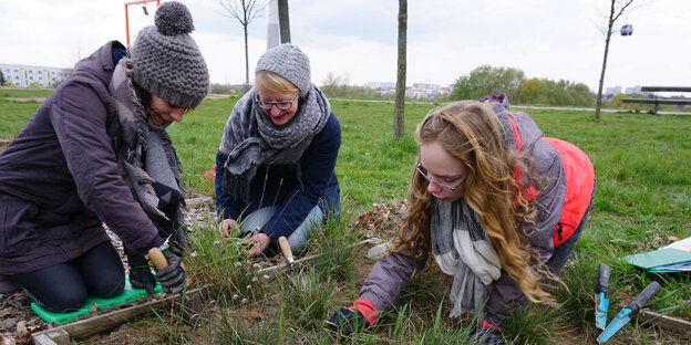 Engagierte des Projekts Urbanität & Vielfalt setzen Wildpflanzen in ein Beet im Kienbergpark in Marzahn Engagierte des Projekts Urbanität & Vielfalt setzen Wildpflanzen in ein Beet im Kienbergpark in Marzahn