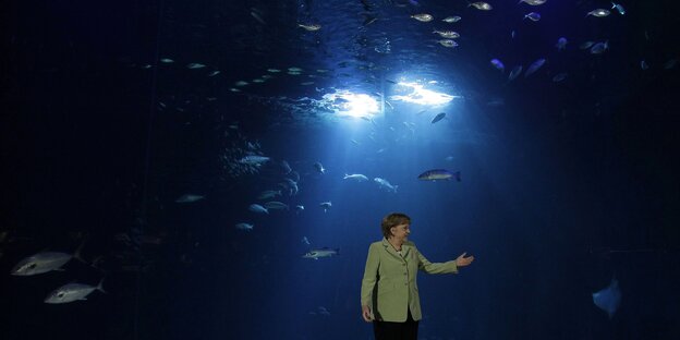 Angela Merkel steht vor einem Aquarium Angela Merkel steht vor einem Aquarium
