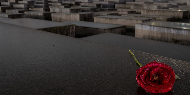 Rote Rose auf einer Holocaust-Mahnmalstele Rote Rose auf einer Holocaust-Mahnmalstele