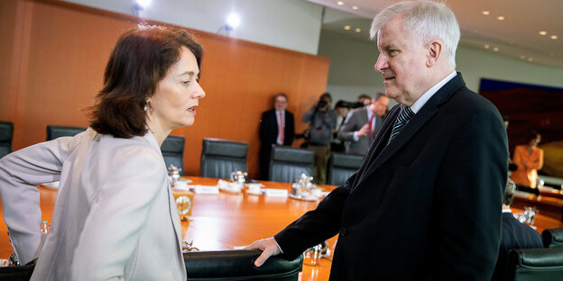 Justizministerin Barley und Innenminister Seehofer im Gespräch. Es sieht aus, als ob sie uneins sind Justizministerin Barley und Innenminister Seehofer im Gespräch. Es sieht aus, als ob sie uneins sind