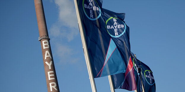 Fahnen vor der Bayer-Zentrale Fahnen vor der Bayer-Zentrale