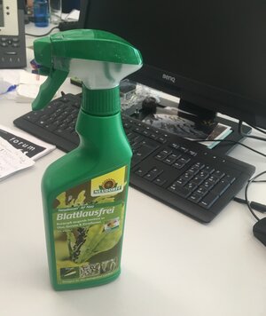 Ein Schreibtisch mit Tastatur, Bildschirm und Sprühflasche Insektengift Ein Schreibtisch mit Tastatur, Bildschirm und Sprühflasche Insektengift