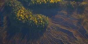 Luftaufnahme einer Moorlandschaft in Finnland