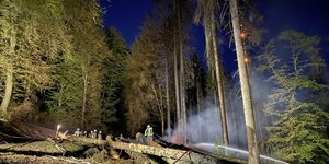Feuerwehr löscht im Wald