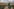 Ein Mann steht auf einem Quinoafeld. Hinter ihm erstreckt sich die Weite des Salar de Uyuni