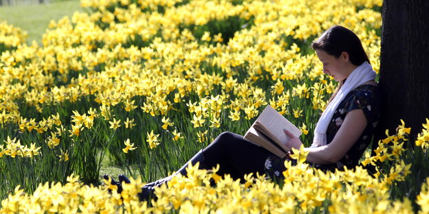 Frau mit Buch in Blumenwiese Frau mit Buch in Blumenwiese
