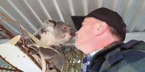 Mann mit Koala