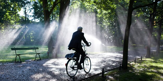 Mann fährt auf Fahrrad durch den Tiergarten Mann fährt auf Fahrrad durch den Tiergarten