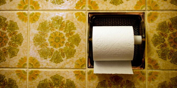 Klopapierrolle im Badezimmer Klopapierrolle im Badezimmer