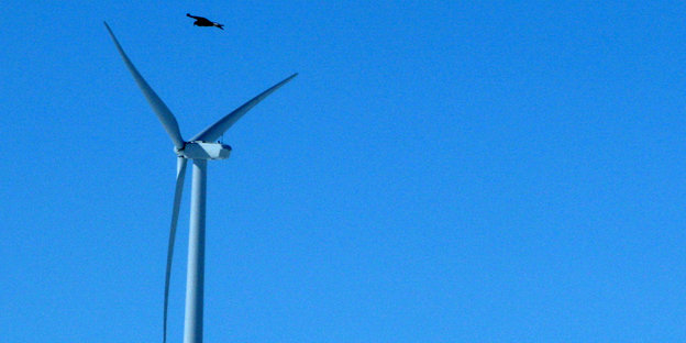 Ein Vogel fliegt über eine Windkraftanlage