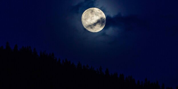 Vollmond Vollmond