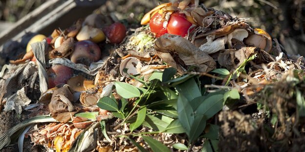 Biobfall liegt auf einem Haufen Biobfall liegt auf einem Haufen