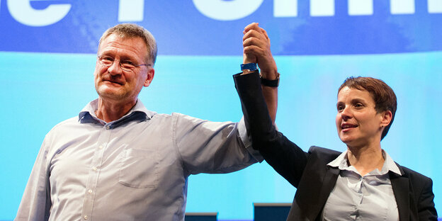Jörg Meuthen und Frauke Petry in Siegerpose Jörg Meuthen und Frauke Petry in Siegerpose