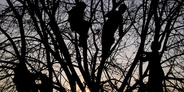 Kletternde Kinder in einem Baum Kletternde Kinder in einem Baum