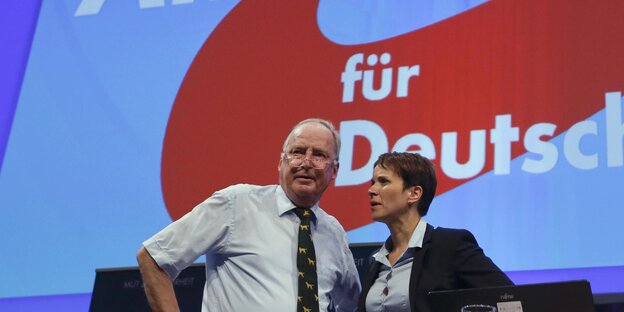 Frauke Petry und Alexander Gauland stehen auf einer Bühne Frauke Petry und Alexander Gauland stehen auf einer Bühne