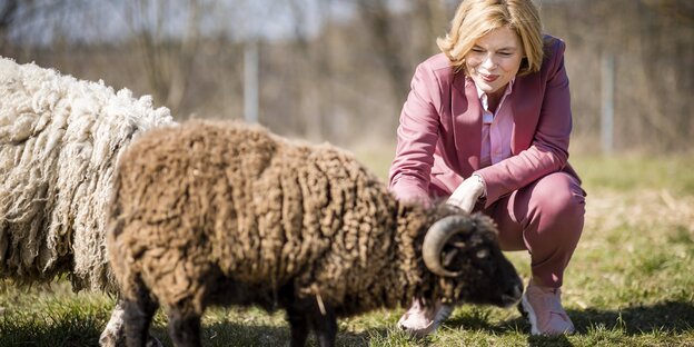 Julia Klöckner hockt im Anzug auf einer Wiese vor einem Schaf
