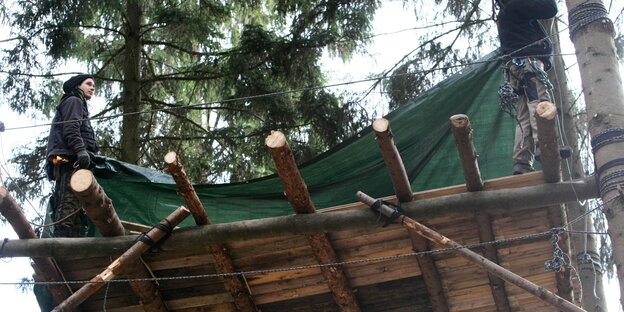 Protest in der Höhe: Baumhaus der AkivistInnen im Hambacher Forst.