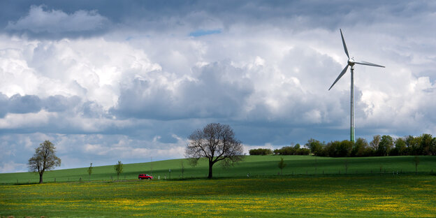 Ein Feld mit Baum und Windrad in Sachsen Ein Feld mit Baum und Windrad in Sachsen
