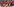 Vor einem American-Football-Spiel im Oktober 2016 in Santa Clara knien Linebacker Eli Harold, Quarterback Colin Kaepernick und Safety Eric Reid währendi der Nationalhymne um auf Rassismus aufmerksam zu machen