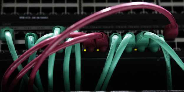 grüne und rote Netzwerkkabel an einem Server