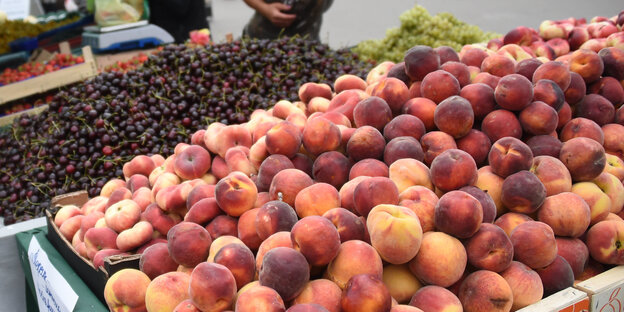 Ein Marktstand mit einem großen Berg appetitlicher Pfirsische, dahinter liegen Kirschen Ein Marktstand mit einem großen Berg appetitlicher Pfirsische, dahinter liegen Kirschen
