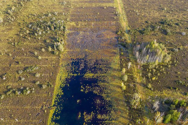 Luftbild eines renaturiertes Moor
